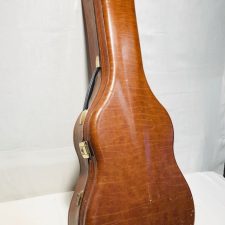 futerał gitara