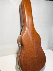 futerał gitara