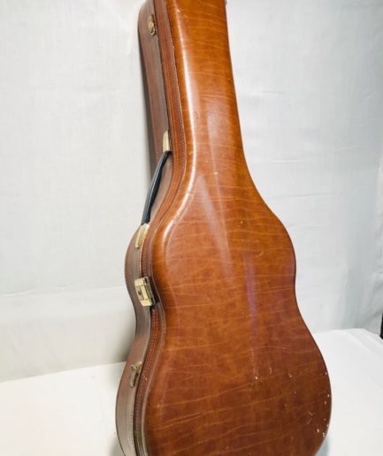 futerał gitara