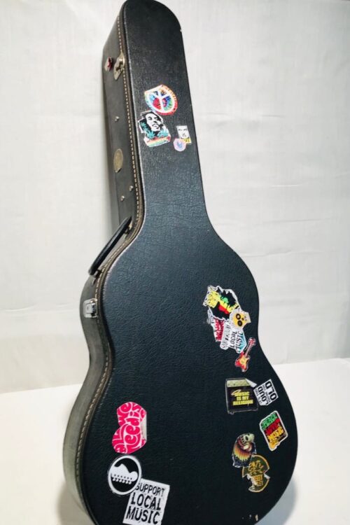 futerał gitara