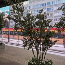 sztuczne drzewa 4 szt.